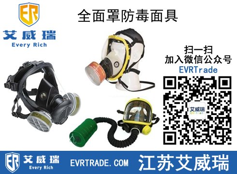 2016全面罩防毒面具