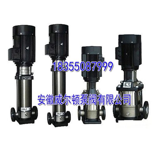 威尔顿泵阀不锈钢立式多级泵CDLF型不锈钢多级泵厂家