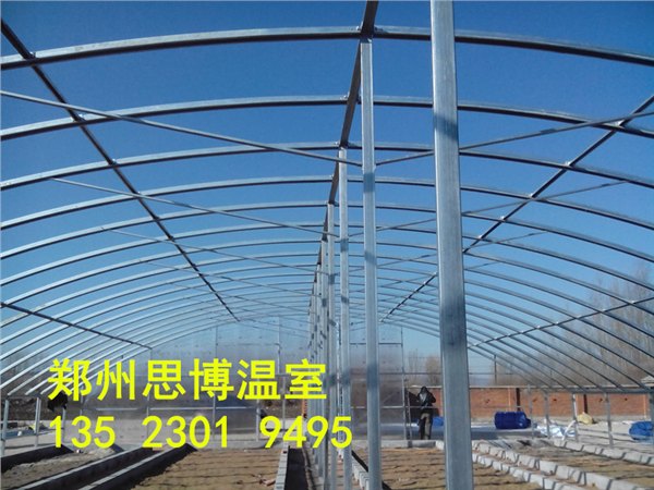 热镀锌方管温室大棚建造市场价格
