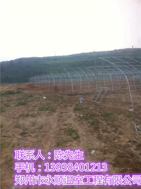 建造一亩地食用菌大棚需要多少钱？食用菌大棚价格