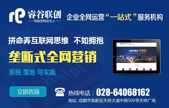 成都网络推广seo