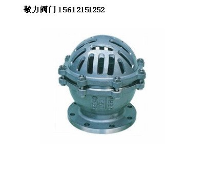 敬力阀门升降式底阀