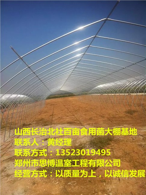 商丘钢管蔬菜大棚，商丘草莓大棚建造安装，商丘大棚公司