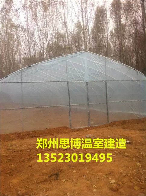 济源蔬菜大棚草莓大棚建造钢管大棚价格
