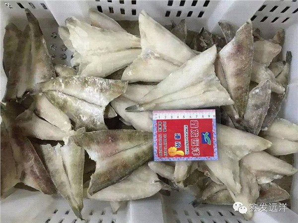 冰鱼蝴蝶片-,山东鑫发渔业集团有限公司