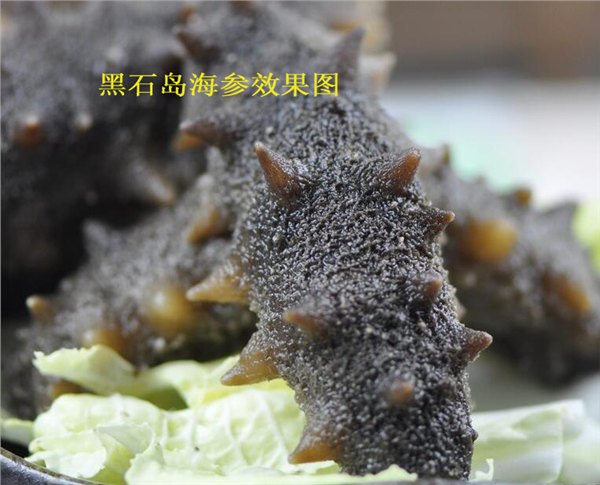 供应即食海参