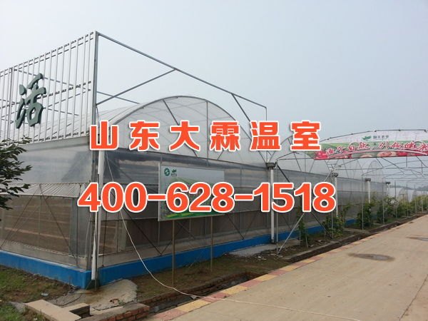 薄膜连栋温室玻璃温室厂家