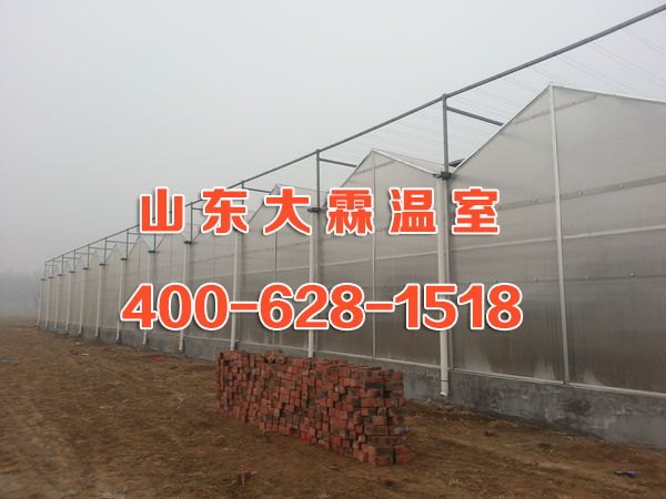 山东阳光板玻璃温室大棚建设