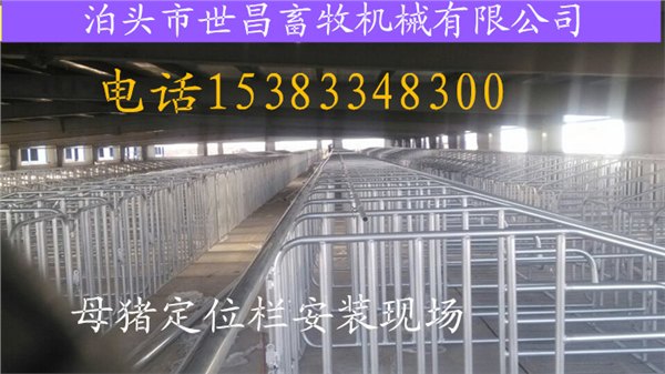 母猪保胎限位栏养猪设备位栏生产商家