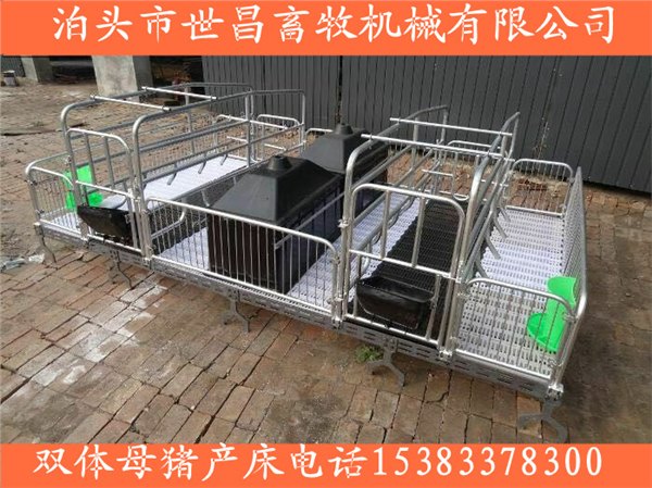 养猪设备猪产床弘昌新型双体母猪产床上市报价