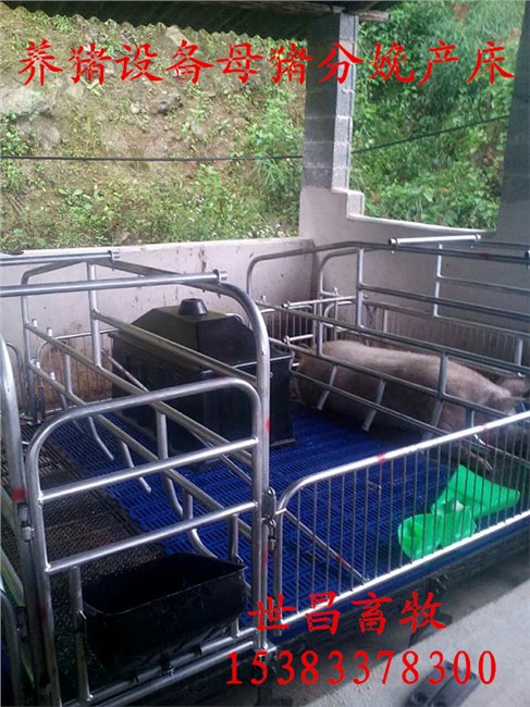 河北养猪设备母猪产床双体产床厂家直销价格是多少