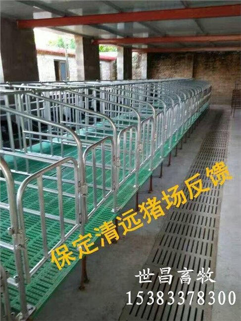 养猪设备育肥猪定位栏厂家母猪定位栏价格