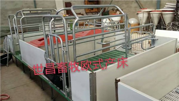 养猪设备复合产床尺寸新型母猪双体产床报价