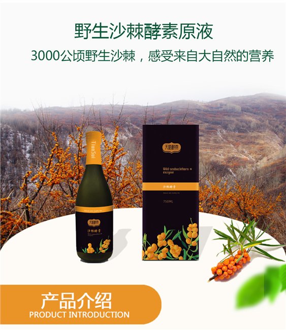 天随酵素 野生沙棘果酵素原液 代工 OEM 加盟