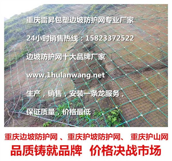 山体滑坡防护网厂家首选重庆雷昇