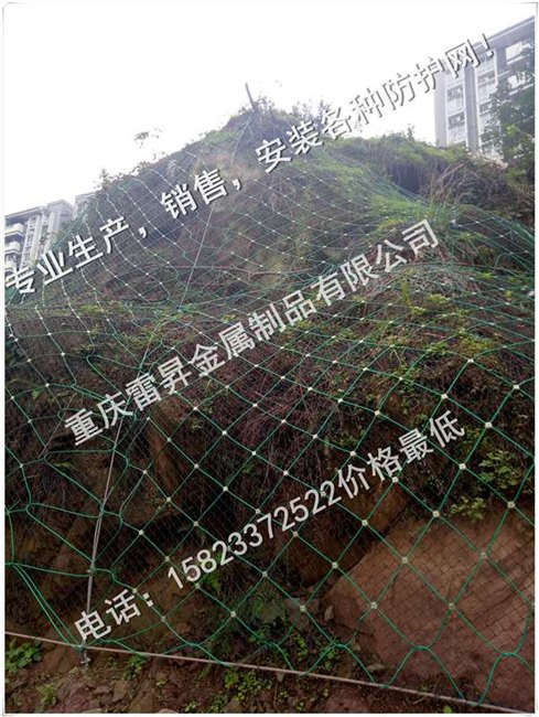 山坡防护网什么牌子好 重庆雷昇