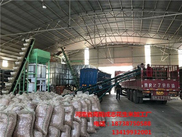 南阳生花生米零售价格 南阳生花生米代理商