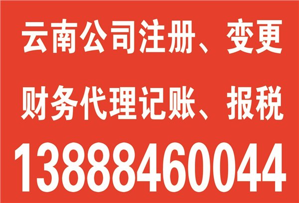 楚雄公司注册所需材料，楚雄公司注册登记指南