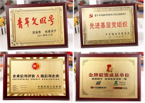 金箔奖牌批量定制 辛雅供 优质金箔奖牌批量定制中心