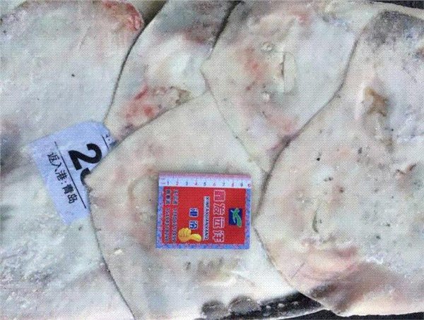 老板鱼价格-,山东鑫发渔业集团有限公司