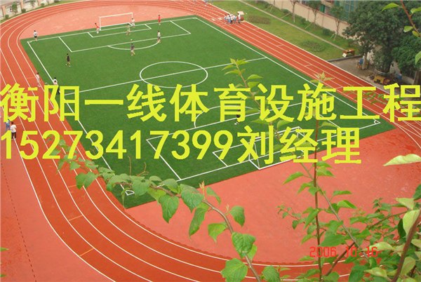 衡阳塑胶跑道材料直销价格  衡阳一线体育设施工程有限公司