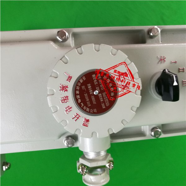 BYT-1500W/220V电加热防爆油汀防爆电暖气批发价