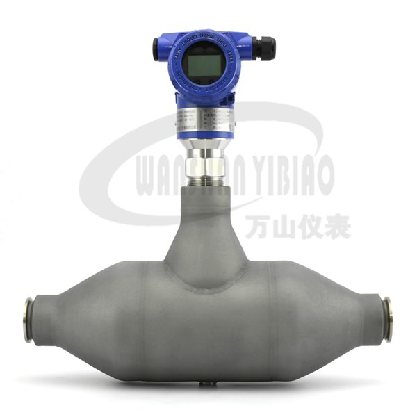 广东珠海工业防腐型盐酸音叉在线密度计WS3051-X-YC