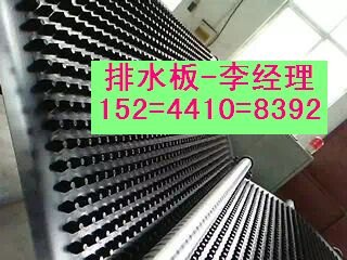 苏州车库顶种植排水板价格+车库绿化疏水板厂家