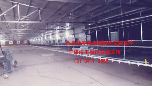 鸡舍锅炉厂家  鸡舍水暖锅炉散热器效果好