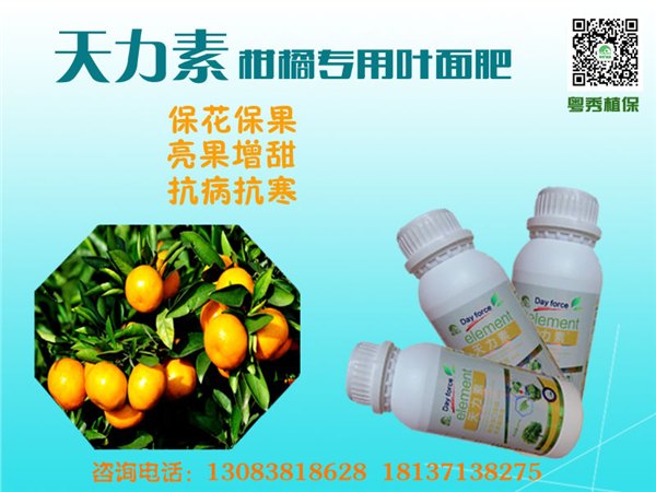 什么样的果树叶面肥好果皮着色专用叶面肥柑橘喷啥叶面肥美果