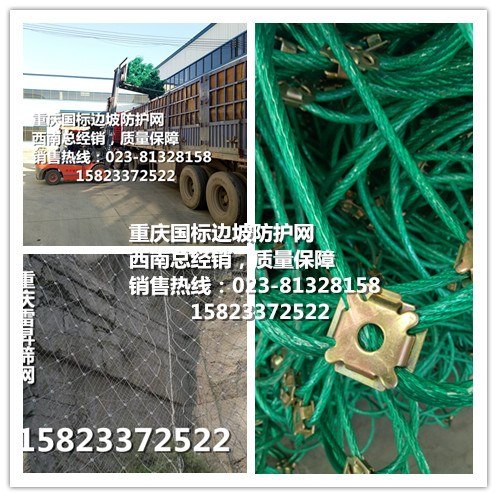 求购重庆边坡防护网