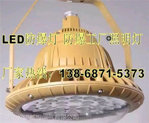 防爆高效免维护LED灯HRD91-50B1H50WLED光源Exd