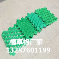 5公分植草格价格