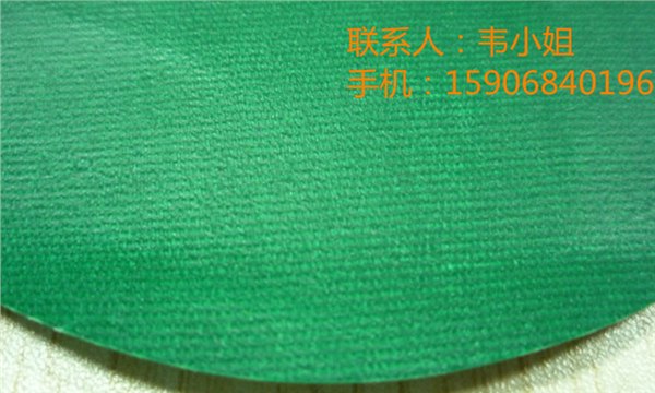 绿色0.48mm涂层夹网布箱包专用