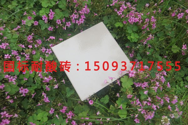 分析--国标耐酸砖【中冠品牌】行业发展现状与未来趋势