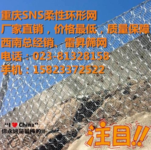 重庆RX-025型被动防护网
