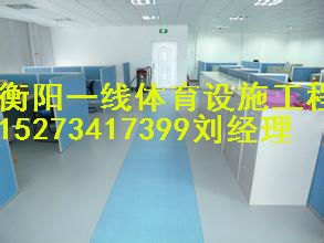 专注衡阳塑胶PVC运动场地建设十余年施工经验衡阳一线体育设施工程有限公