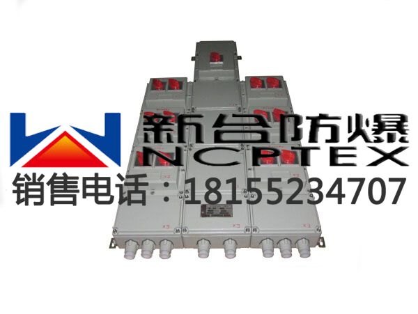 防水防油BXMD系列防爆配电箱