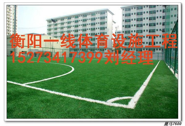 衡阳五人制足球场，十一人制足球场人造草施工报价衡阳一线体育设施工程有限