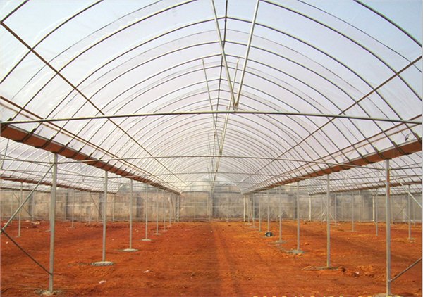 立柱蔬菜大棚建造