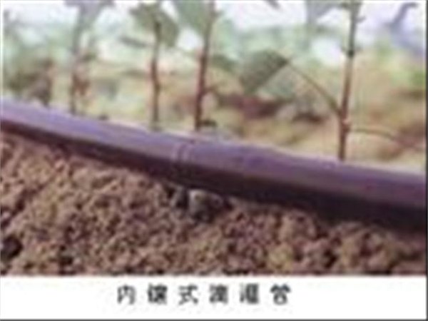 宿州萧县大豆浇水塑料管|大棚节水灌溉