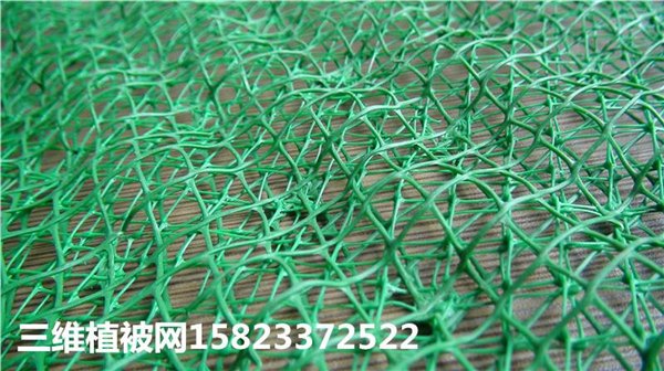哪里有做重庆三维植被网多钱一平米,价格多少?