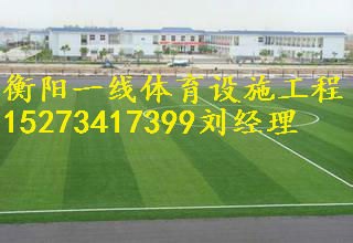 郴州人造草皮设计要求郴州一线体育设施工程有限公司