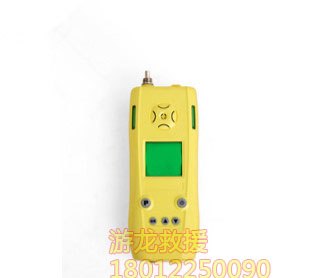 2016年MJNO/B泵吸式一氧化氮检测仪