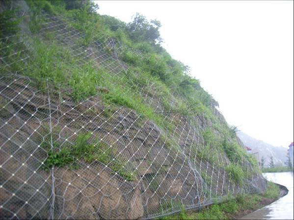 rxi-025被动防护网厂家-找鑫乐源询问价格