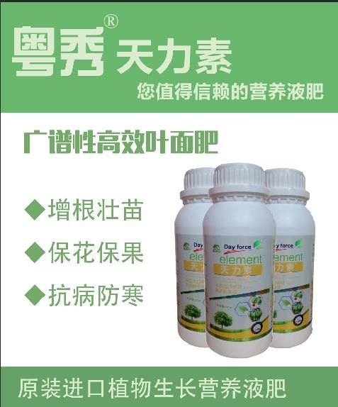 柑橘专用促花叶面肥柑橘促花用什么肥柑橘促花肥批发