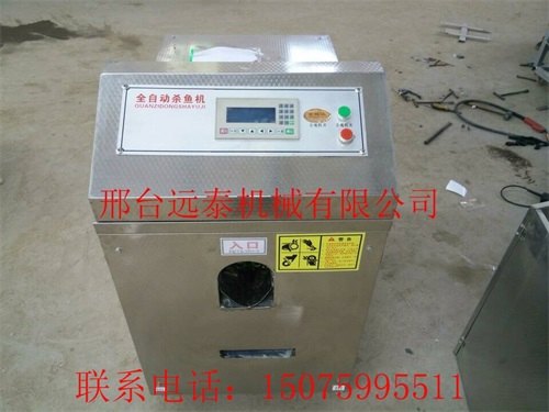 远泰开背杀鱼去鳞机加工厂专用的杀鱼机设备