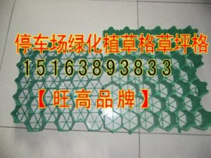 停车场绿化植草格 公路护坡绿化植草格 园林绿化植草格