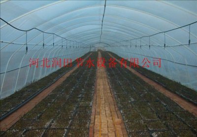 滁州凤阳县西蓝花大棚微喷头价格实惠