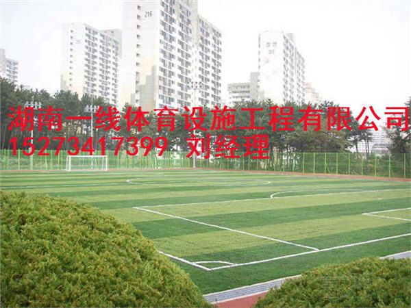 常宁市承接各类专业足球人造草皮施工建设，品质有保障湖南一线体育设施工程